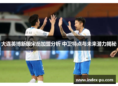 大连英博新援宋岳加盟分析 中卫特点与未来潜力揭秘