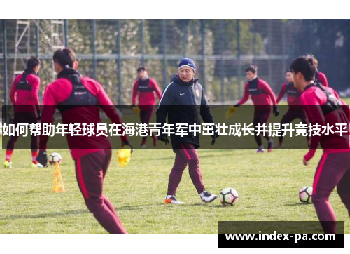 如何帮助年轻球员在海港青年军中茁壮成长并提升竞技水平