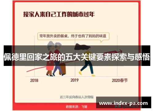 佩德里回家之旅的五大关键要素探索与感悟