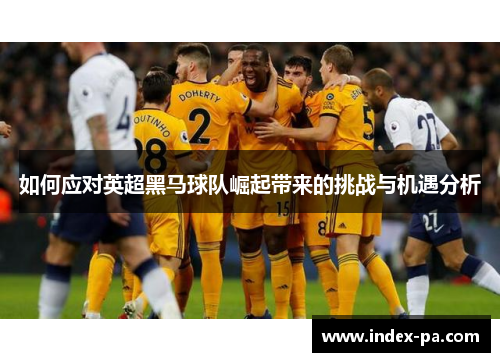 如何应对英超黑马球队崛起带来的挑战与机遇分析