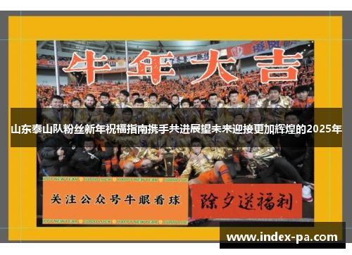 山东泰山队粉丝新年祝福指南携手共进展望未来迎接更加辉煌的2025年