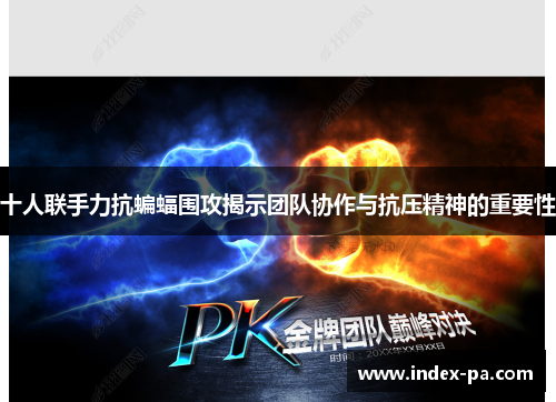 十人联手力抗蝙蝠围攻揭示团队协作与抗压精神的重要性