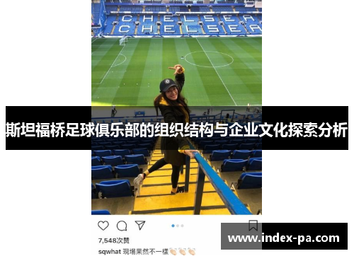 斯坦福桥足球俱乐部的组织结构与企业文化探索分析