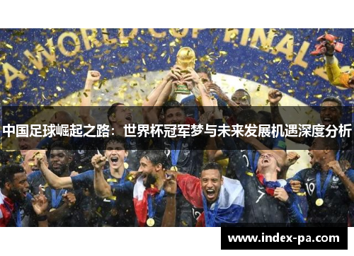 中国足球崛起之路：世界杯冠军梦与未来发展机遇深度分析