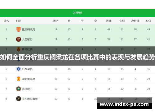 如何全面分析重庆铜梁龙在各项比赛中的表现与发展趋势