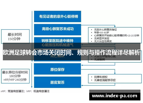 欧洲足球转会市场关闭时间、规则与操作流程详尽解析