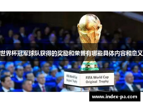 世界杯冠军球队获得的奖励和荣誉有哪些具体内容和意义