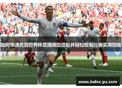 如何快速找到世界杯直播频道信息并轻松收看比赛实用指南