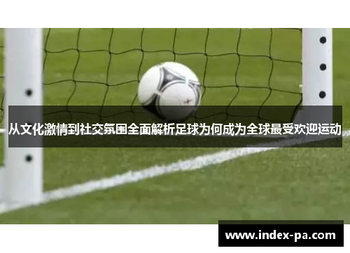 从文化激情到社交氛围全面解析足球为何成为全球最受欢迎运动