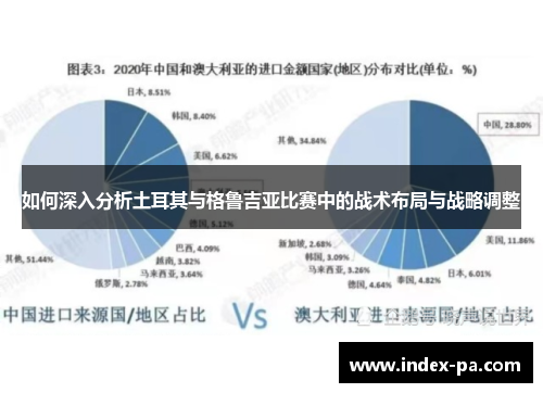 如何深入分析土耳其与格鲁吉亚比赛中的战术布局与战略调整