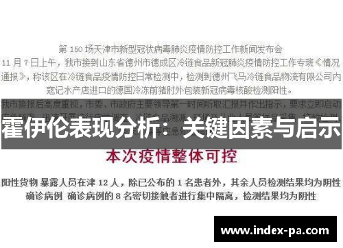霍伊伦表现分析：关键因素与启示