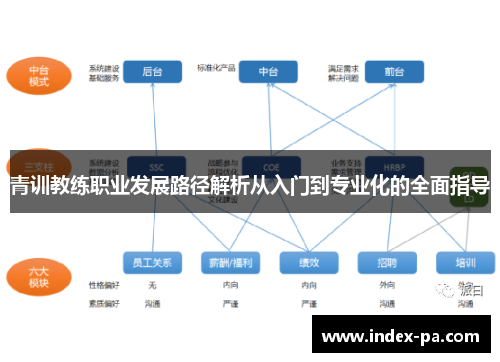 青训教练职业发展路径解析从入门到专业化的全面指导