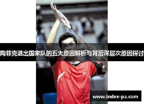陶菲克退出国家队的五大原因解析与背后深层次原因探讨