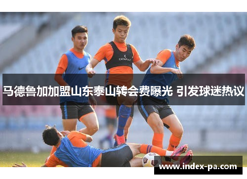 马德鲁加加盟山东泰山转会费曝光 引发球迷热议